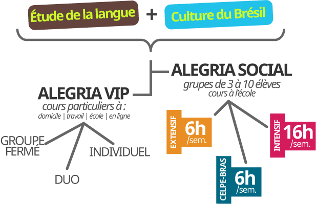 Structure du Cours
